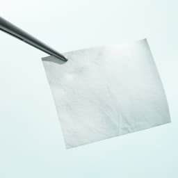 Lyoplant®-Product Picture CW Enlargement